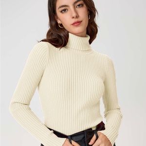 Cider Cream Turtleneck Sweater